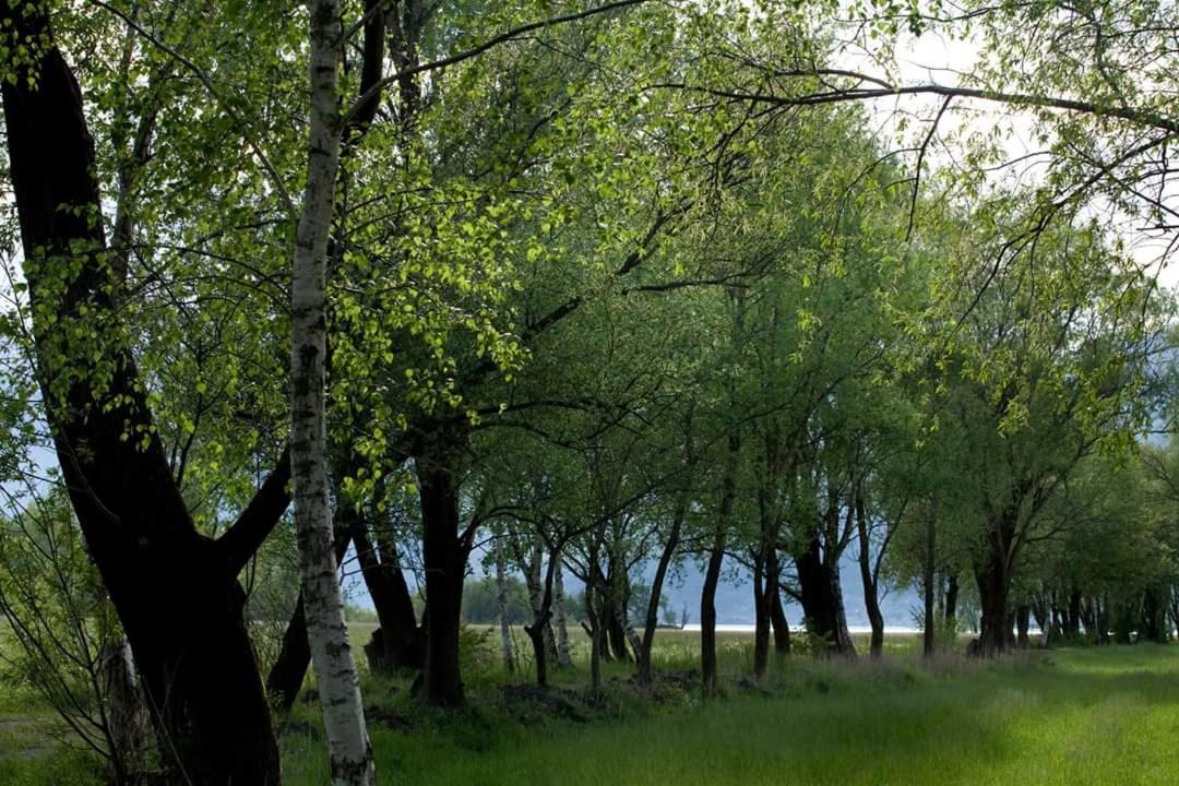 Cascina Borgofrancone Apart otel Gera Lario Dış mekan fotoğraf