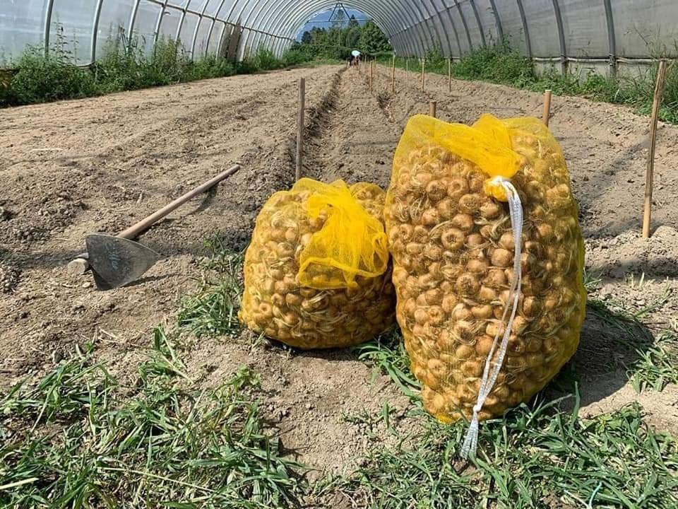 Cascina Borgofrancone Apart otel Gera Lario Dış mekan fotoğraf