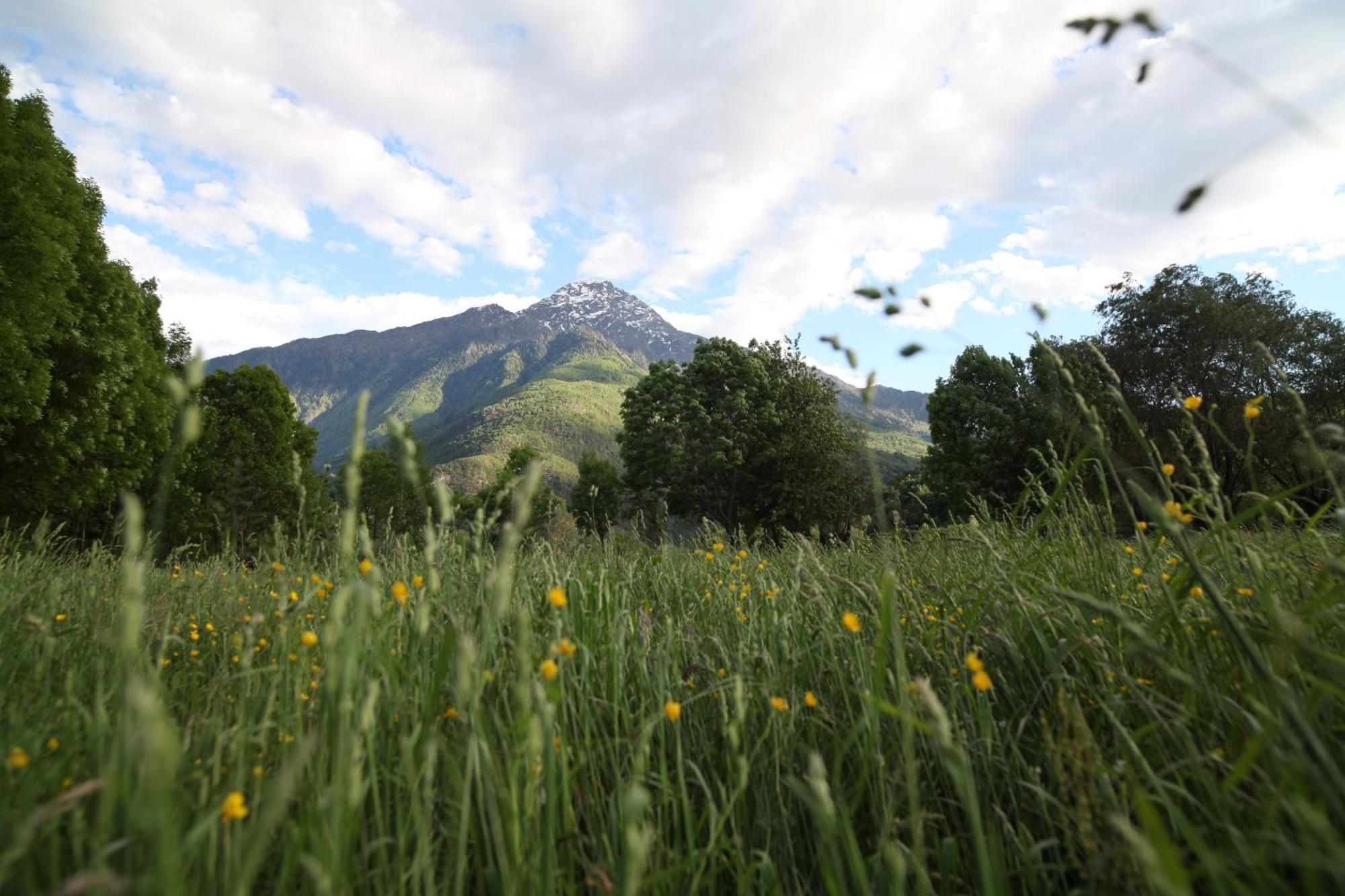 Cascina Borgofrancone Apart otel Gera Lario Dış mekan fotoğraf